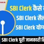 SBI क्लर्क कैसे बनें ? जानिए SBI क्लर्क की पूरी जानकारी