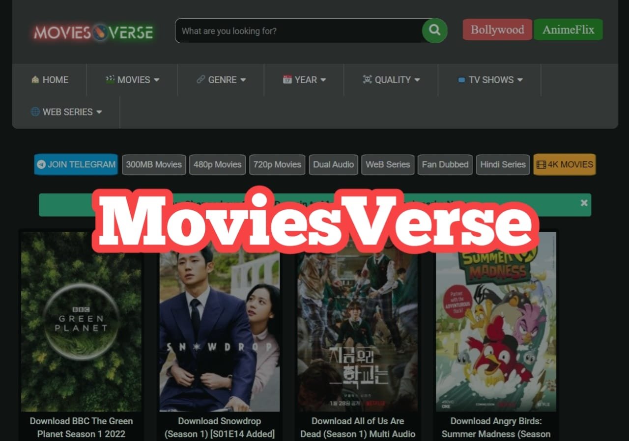 MoviesVerse 2022 MoviesFlix Pro 480p Movies, 720p Movies In Hindi