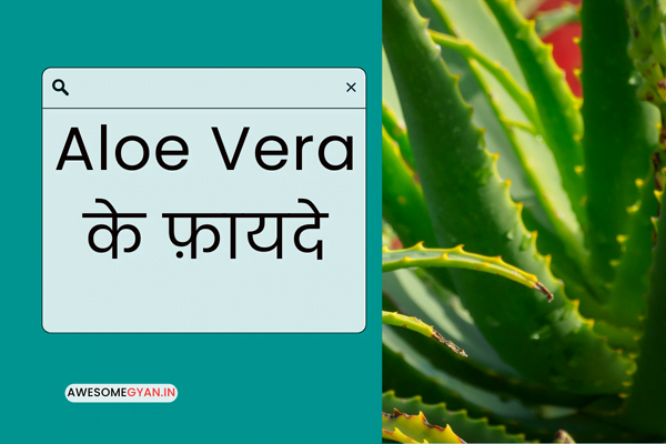 Aloe Vera के फ़ायदे