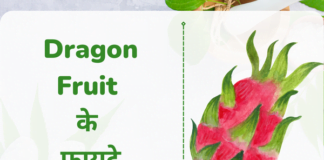 Dragon Fruit के फायदे
