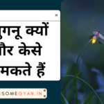 जुगनू क्यों और केसे चमकते हैं